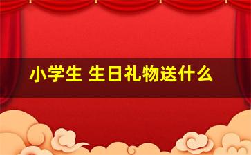 小学生 生日礼物送什么